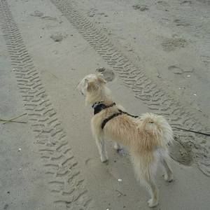 Meet your Posher, Rita